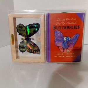 Pop -Up Book of Butterflies